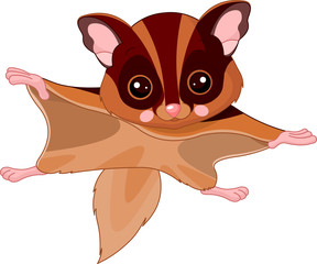 Sticker - Fun zoo. Flying squirrel