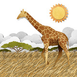 Fototapeta Zwierzęta - Giraffe  in Safari field recycled paper background