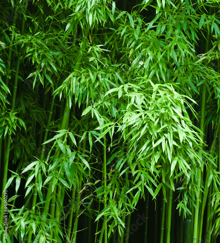 Naklejka na meble Bamboo