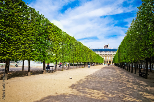 Board z aluminiowym obramowaniem Rzeźbione aleja drzew w ogrodzie palais royal w Paryżu