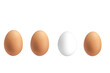Drei braune Eier und ein weißes Ei