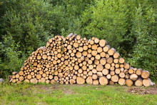Wood Stacked For Drying In The Woodpile