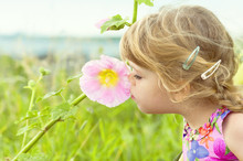 Curious Little Girl Smells A Flower