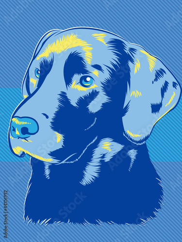 Board z aluminiowym obramowaniem Pies labrador stylu pop-art