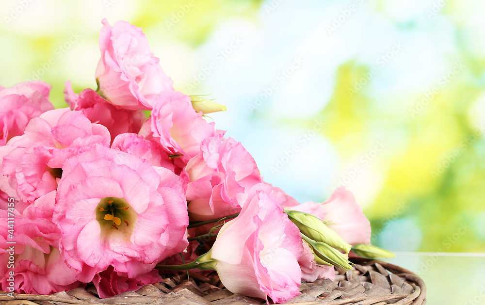 bouquet of eustoma flowers, on green background