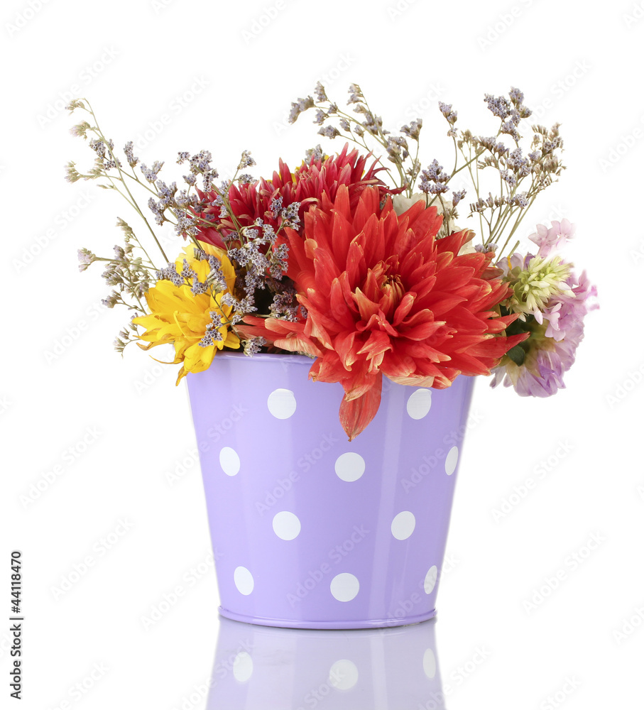Purple bucket with white polka-dot with flowers isolated