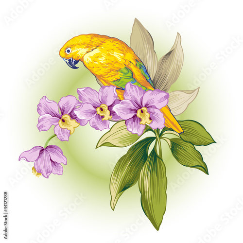 Naklejka ścienna Periquito amarelo e orquídea