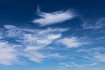 Wall Mural - bright cumulus clouds and blue sky