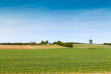 Wall Mural - American Farmland