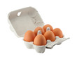 egg box isolated with clipping path