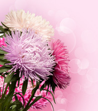 Background With Asters