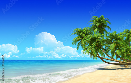 Foto Rollo Basic - Palms on empty idyllic tropical sand beach. (von sellingpix)