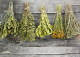 Variety of dried herbs on an old wooden background