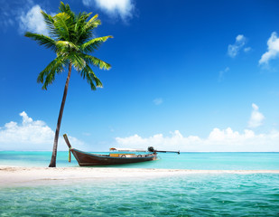 Wall Mural - wood boat on the beach