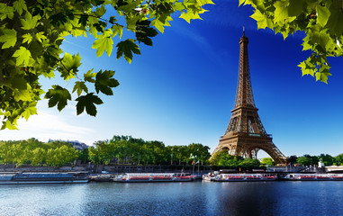Wall Mural - Seine in Paris with Eiffel tower