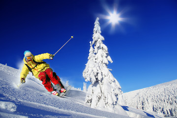 Wall Mural - Skier skiing downhill in mountains