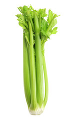 Sticker - Celery