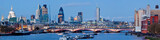 Fototapeta Londyn - Panorama of St. Paul Cathedral London
