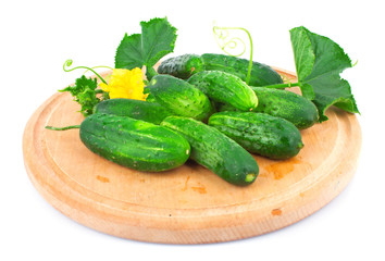 Wall Mural - Fresh cucumber