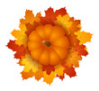 Pumpkin and autumn maple leaves. EPS 10 vector illustration.