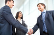 © chagin - Business people shaking hands
