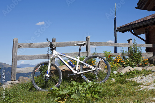Fotoboard na płycie Rower górski w alto adige