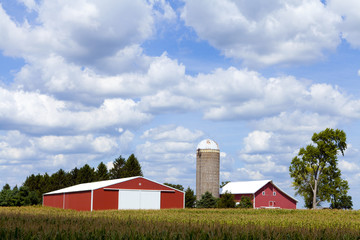 Wall Mural - American Countryside