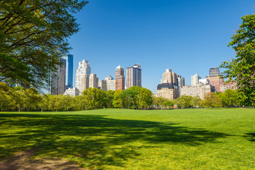 Fototapete - Central park at sunny day