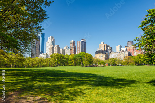 Tapeta ścienna Park centralny w słoneczny dzień