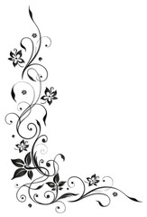 Fototapete - Ranke, flora, Blume, Blüte, border, frame, black