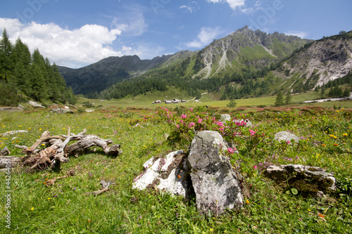 Plakat na papierze fotorealistycznym Ursprungalm - schladming