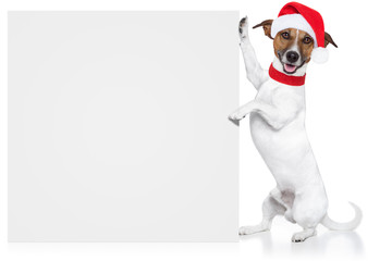 Poster - christmas dog placeholder