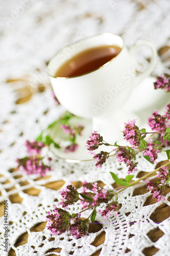 Naklejka samoprzylepna Herbata oregano