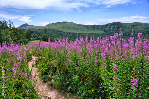 Naklejka samoprzylepna Bieszczady