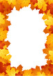 Vector illustration of autumn maple leaves frame