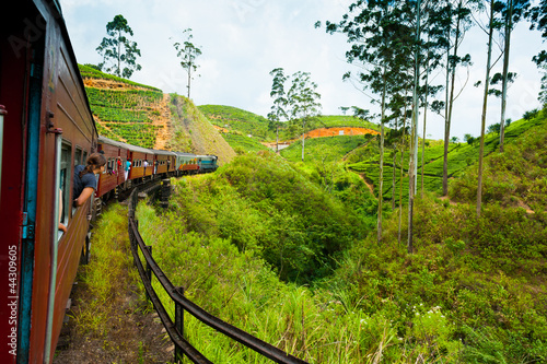 Fototapeta na wymiar Riding by train in Sri Lanka