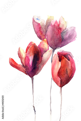Naklejka - mata magnetyczna na lodówkę Tulips flowers