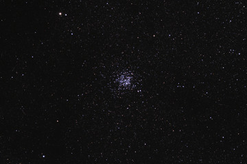 Wall Mural - starfield with wild duck cluster (m11)