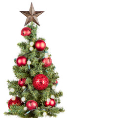 Wall Mural - Christmas tree isolated