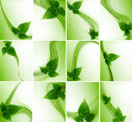 Wall Mural - abstract Vector Natural eco green lives wave collection