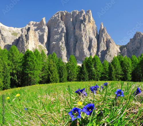 Fotoboard na płycie Szczyty dolomitów, rosengarten, val di fassa, Włochy Alpy