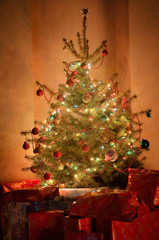 christmas tree at night