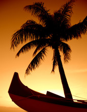 A Palm Tree And Outrigger Canoe Set Against A Hawaiian Sunset