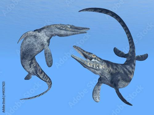 Board z aluminiowym obramowaniem Tylosaurus