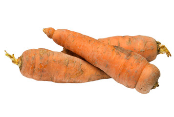 Canvas Print - dirty carrots on a white background