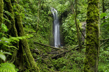 Waterfall At Cloud Forest, La Amistad International Park, Chiriqui Province, Panama, Central America