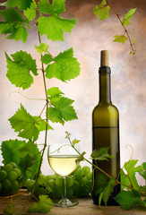 Wall Mural - White wine still life with grapes and fresh grapevine