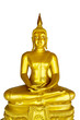 Golden Buddhas on White background