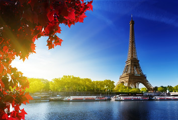 Poster - color of  autumn in Paris