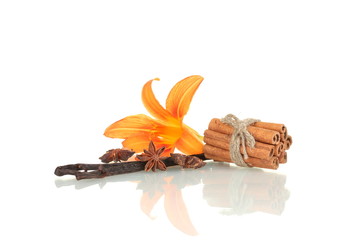 Wall Mural - Vanilla pods with spices isolated on white